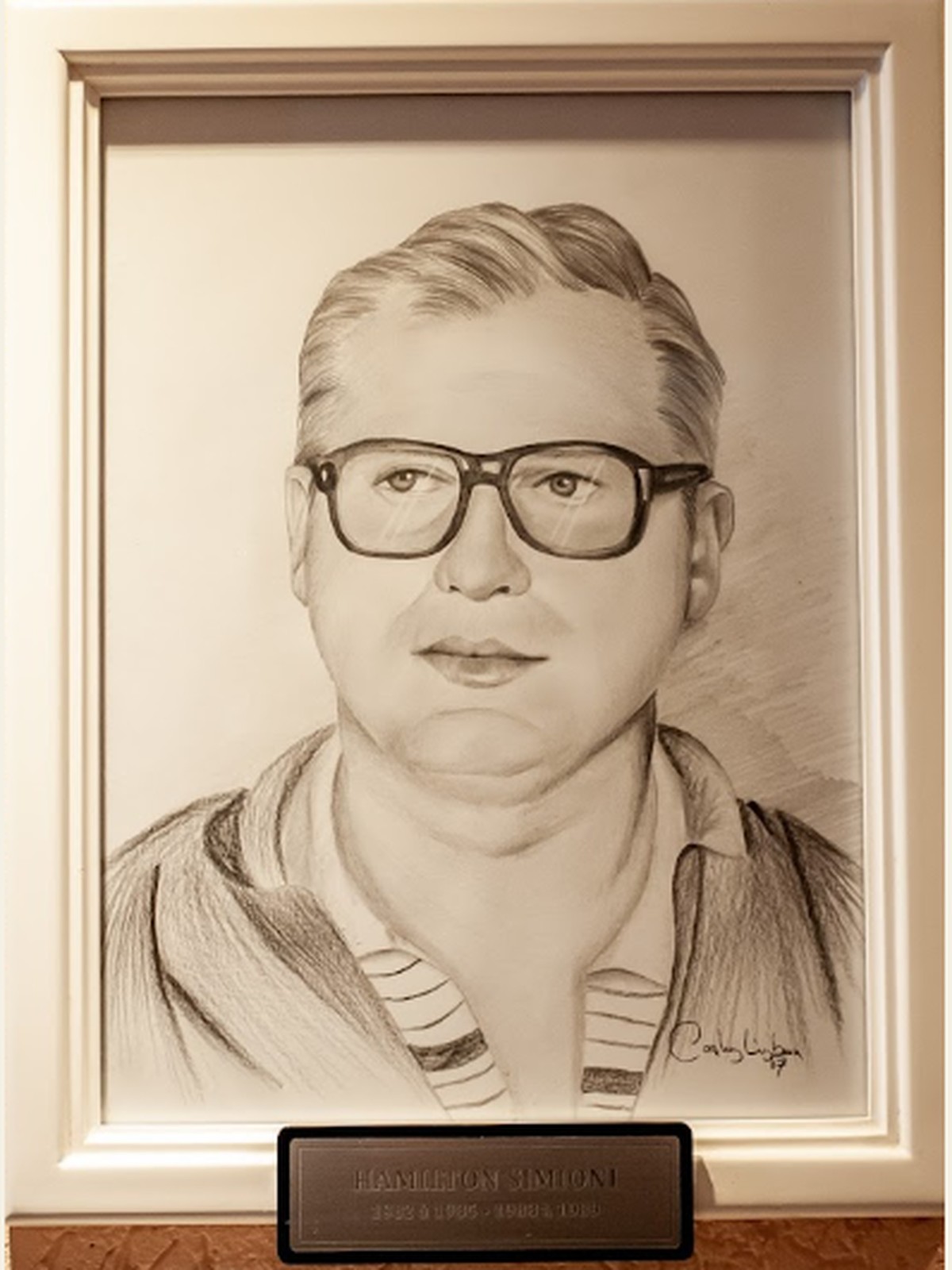 Retrato oficial de Hamilton Simioni
