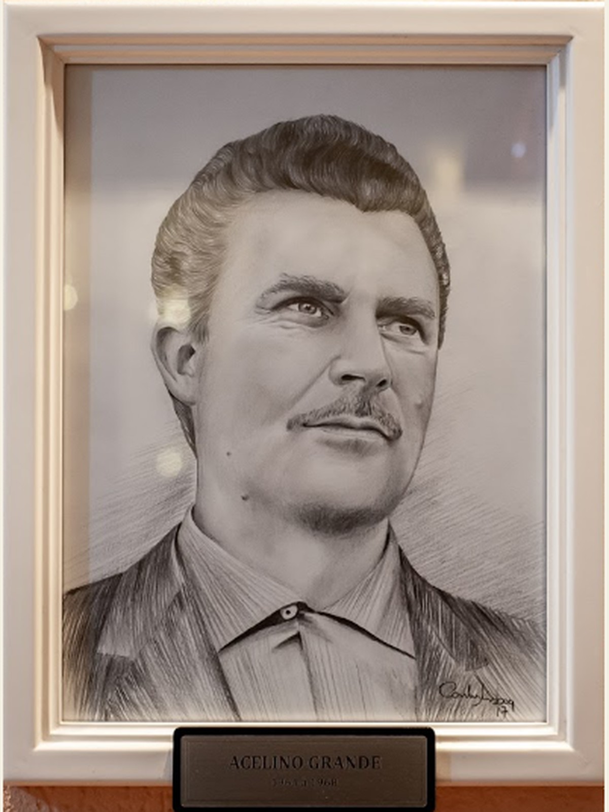 Retrato oficial de Acelino Grande
