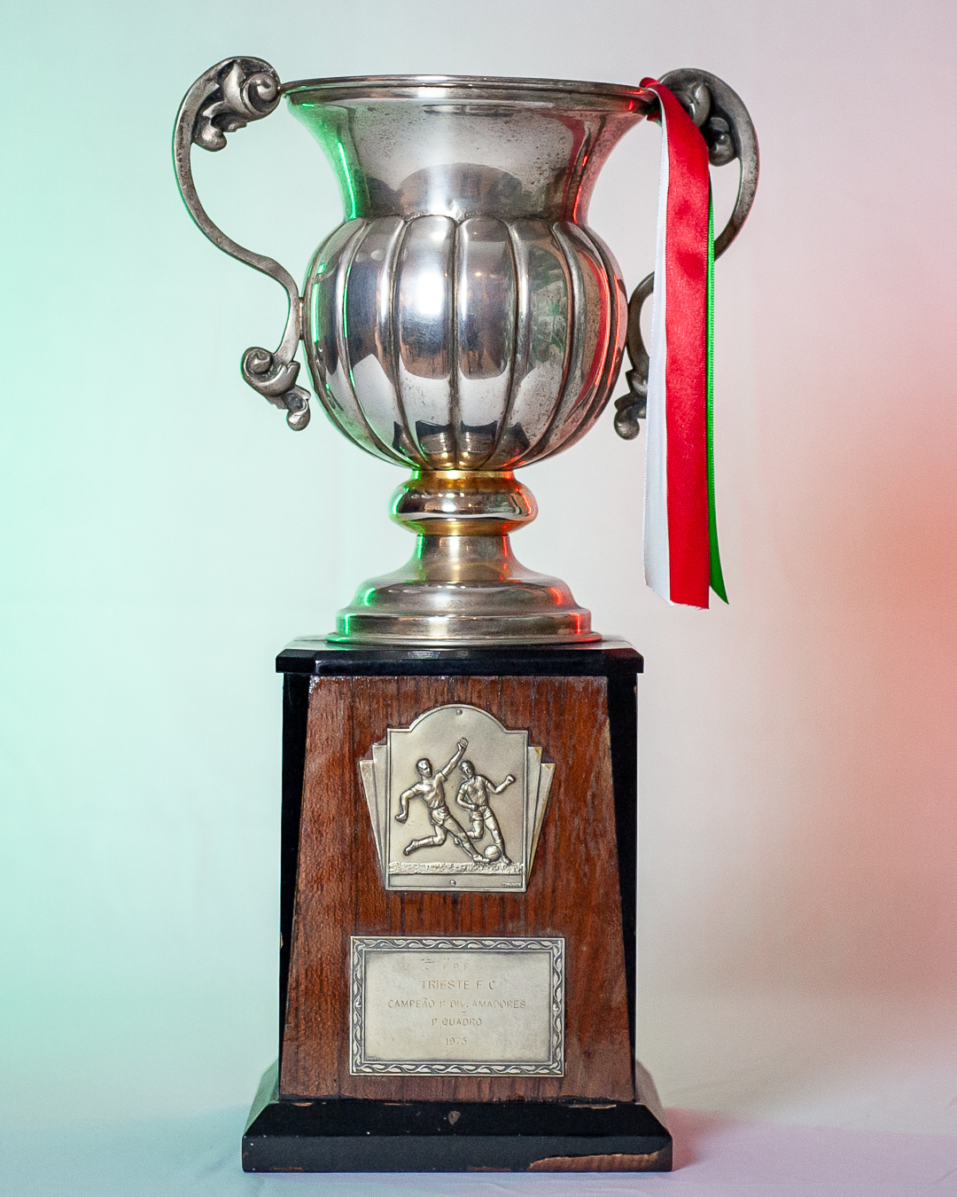 Campeão Suburbana 1975