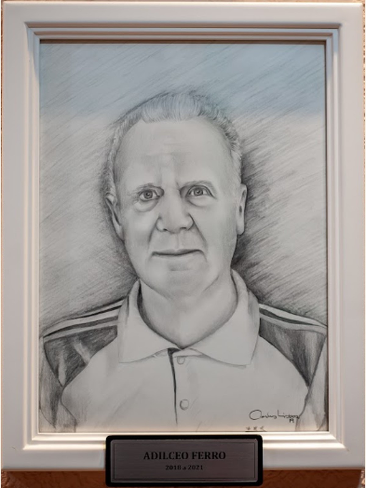 Retrato oficial de Adilceo Ferro