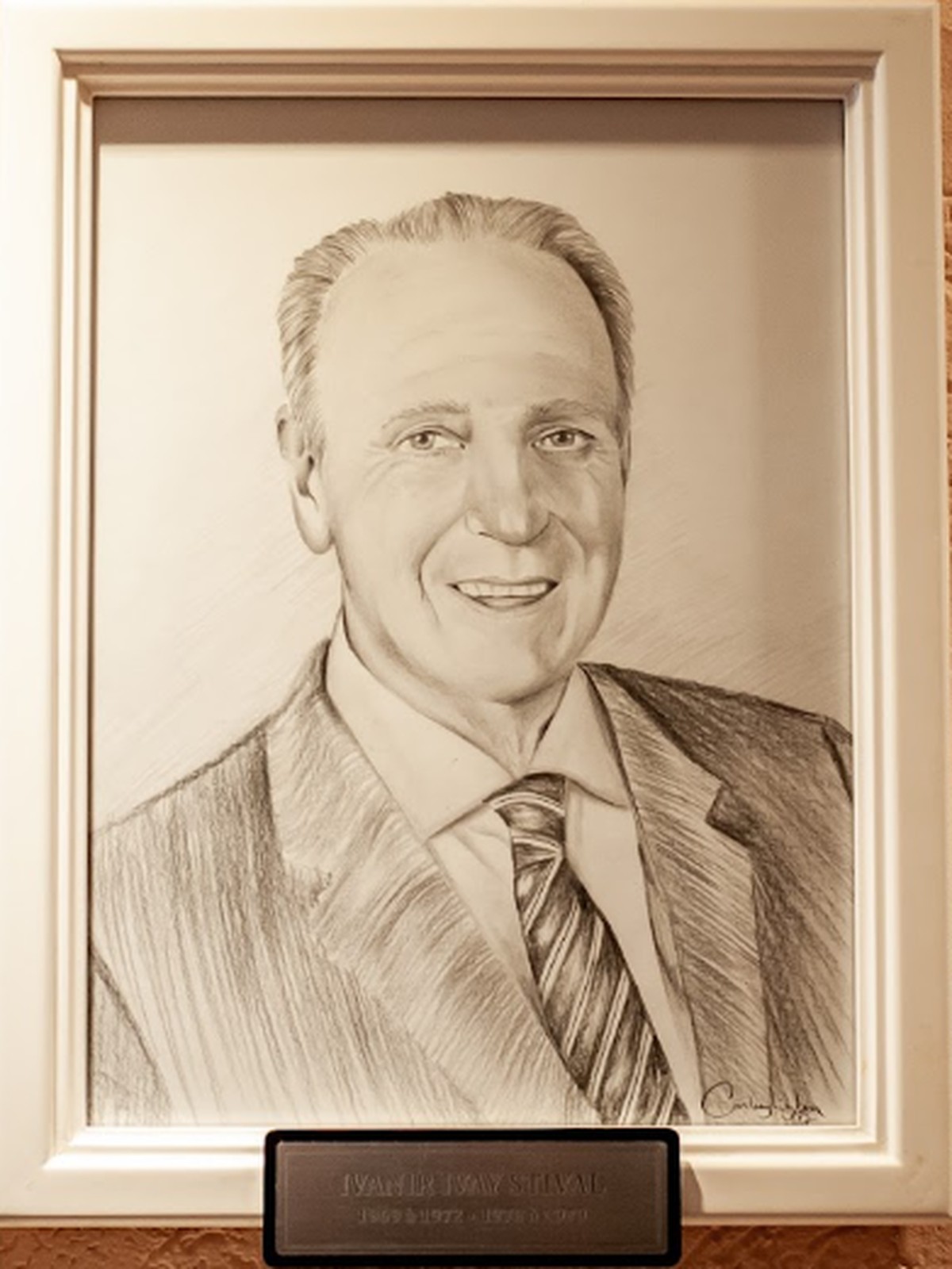 Retrato oficial de Ivanir Ivay Stival